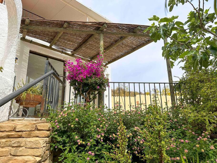 Villa Los Faramondos Naturehouse Turre Εξωτερικό φωτογραφία
