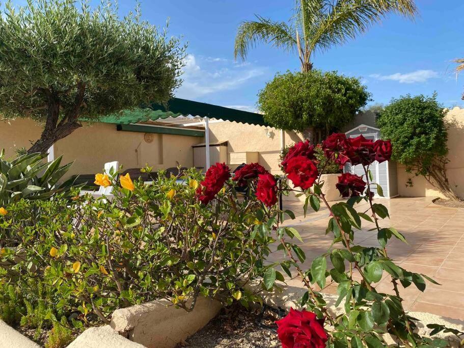 Villa Los Faramondos Naturehouse Turre Εξωτερικό φωτογραφία