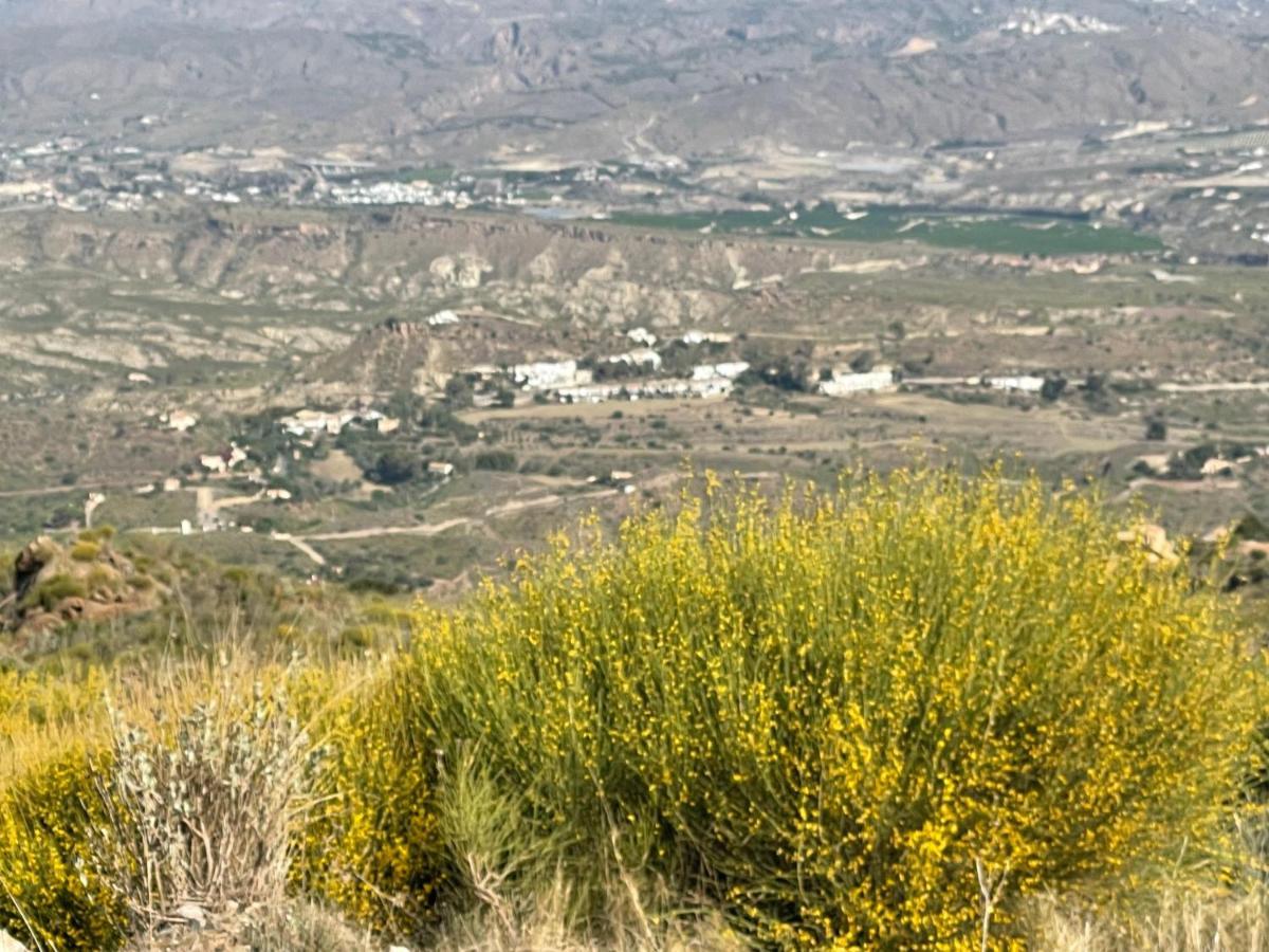 Villa Los Faramondos Naturehouse Turre Εξωτερικό φωτογραφία